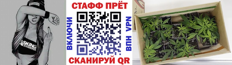 Продажа наркотиков Макарьев Вейп ТГК  hydra ONION  A-PVP  Псилоцибиновые грибы  Мефедрон 