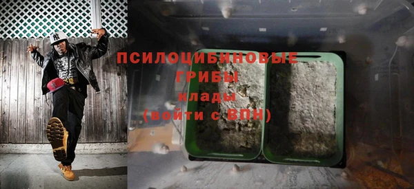 спиды Арсеньев