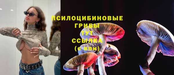 ПСИЛОЦИБИНОВЫЕ ГРИБЫ Армянск
