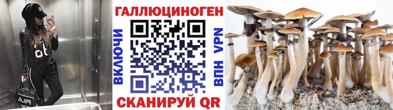 Псилоцибиновые грибы мицелий  Макарьев 
